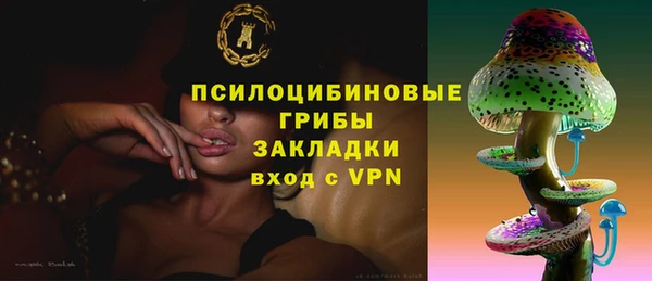 меф Алексин