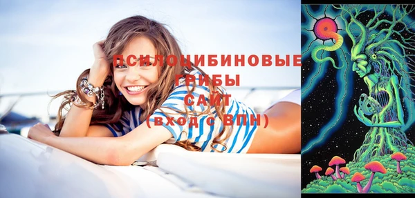 меф Алексин