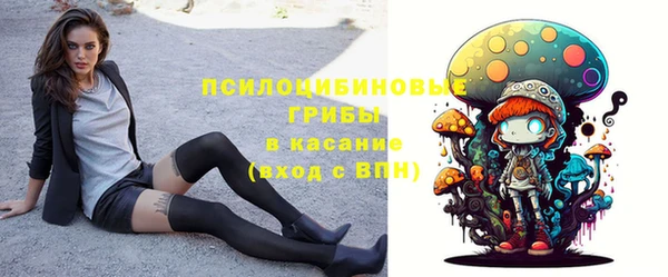 меф Алексин